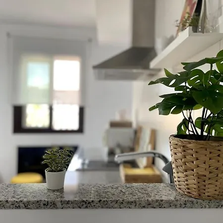 New Mezquita2 En Mezquita Catedral 코르도바