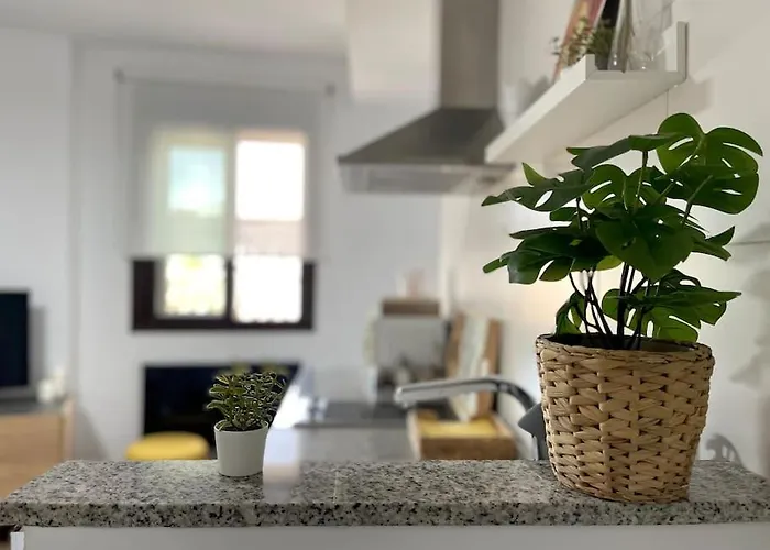 New Mezquita2 En Mezquita Catedral Córdoba